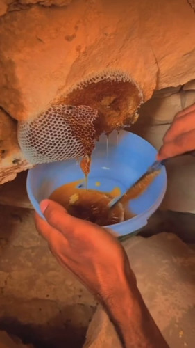 عسل قرمز ویرانگر صد گرم