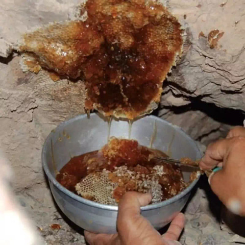 عسل وحشی صخره کوهی زنبور ریز قرمز بی رقیب..بیهوش کننده با یک قاشق..وحشتناک قوی غنی نابودگر اخلاط چهارگانه قوت بخش ذات نیم کیلو