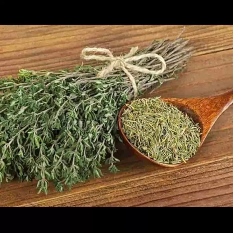 آویشن کوهی وحشی نایاب متفاوت 50 گرم