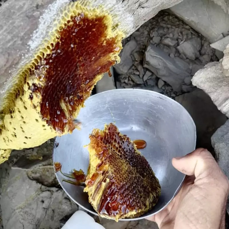 عسل وحشی قرمز کوهی زنبور ریز نایاب خاص بلوچستان دویست گرم