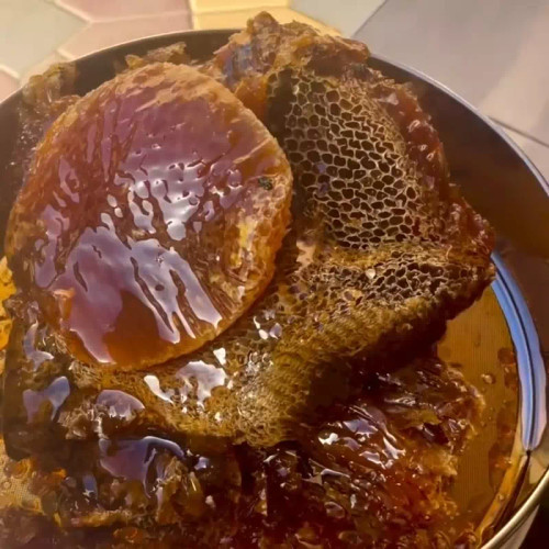 عسل قرمز کوهستان ویرانگر وحشی صخره زنبورریز کوهی به شرط ۱۰۰ گرم