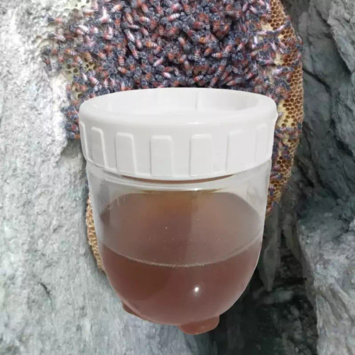 عسل قرمز وحشی صخره محدود تخفیفی صد گرم