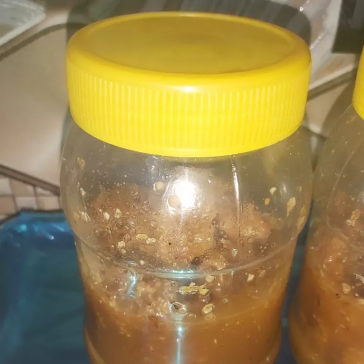 عسل وحشی فارس کوهستان مومدار همراه گرده گل وحشی جنگل تنه درخت و کوهستان ۲۰۰ گرم