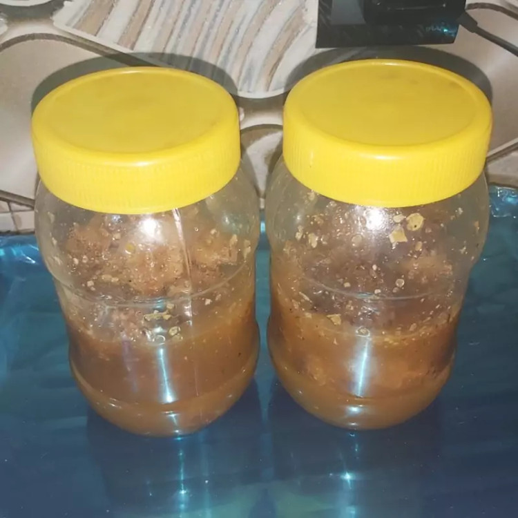 عسل وحشی فارس کوهستان مومدار همراه گرده گل وحشی جنگل تنه درخت و کوهستان ۲۰۰ گرم