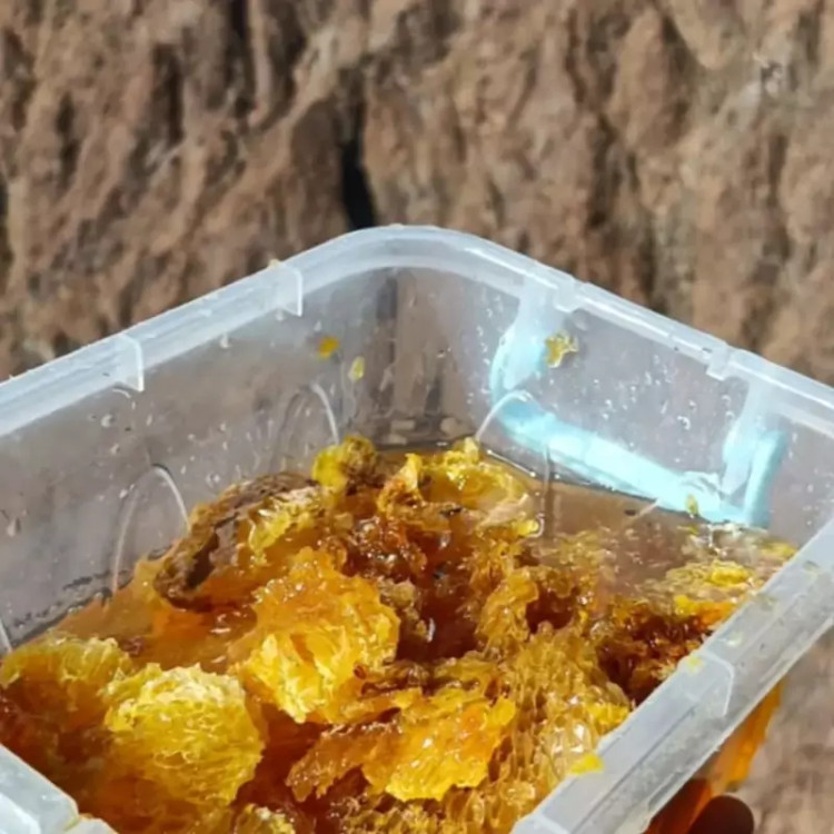 عسل صخره کوهی وحشی ارگانیک طبیعی ۱۰۰ گرم